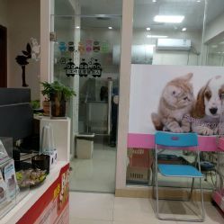 洪星1998寵物店詳細(xì)信息 電話、地址、價(jià)格、營(yíng)業(yè)時(shí)間及圖片